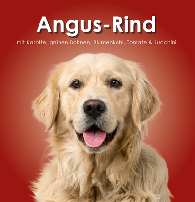 Angus-Rind